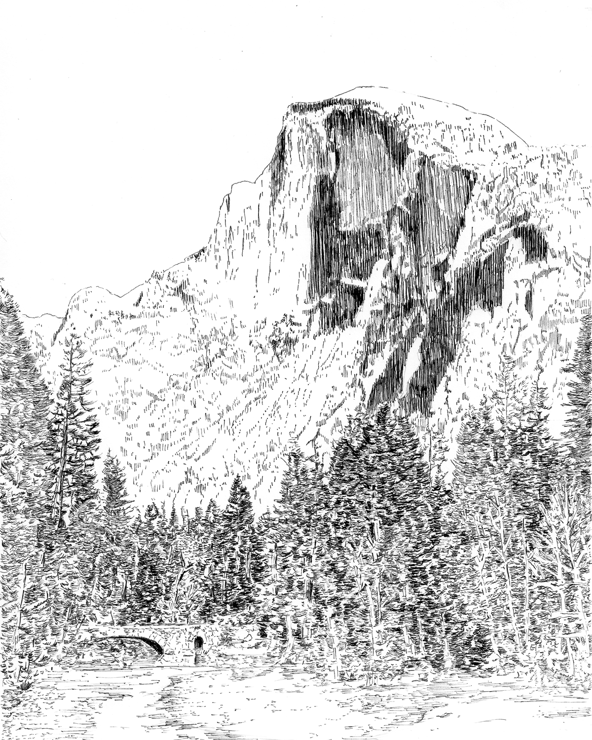 Pen and ink drawing of Half Dome